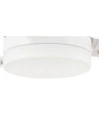 3R162 cristal de recambio para el modelo tonsay, referencias 33384, 33385 y 33386