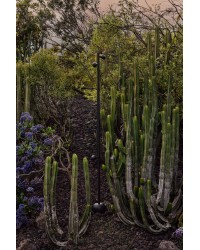 71257 Faro Barcelona Baliza portátil led 180cm 3x7W