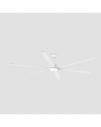34206-130 Ventilador de techo con luz LED 32W 3000K blanco mate, 6 palas, motor DC, diámetro 250cm, modelo Rotterdam 25 de Faro