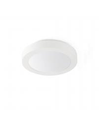 62966 Faro Barcelona