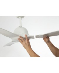 33317 FARO BARCELONA